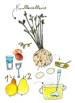 suppe+knollensellerie